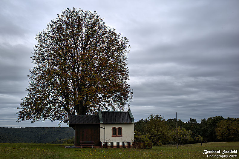 Bernhard Saalfeld - Spessart (5v9)